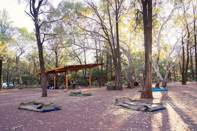 7 Day Uluru to Adelaide Cultural and Adventure Tour - Who this tour suits best (and who should reconsider)