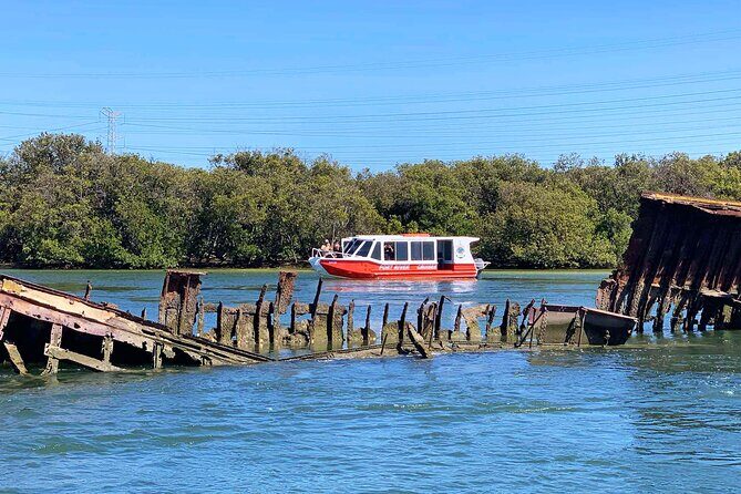 90 Minute Port River Dolphin & Ships Graveyard Cruise - Value check: why $63.12 feels fair for 90 minutes of guided water time
