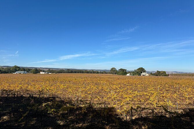Adelaide City Highlights via Hahndorf Half-Day Tour - Key Things I’d Watch For
