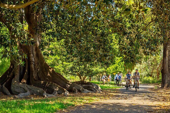 Adelaide City to Sea Bike Tour - The River Torrens Linear trail: calm riding with history along the edges