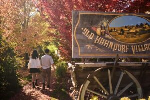 Adelaide: Highlights, Hahndorf & McLaren Vale Wine Tasting - Adelaide CBD morning: pickup, orientation, and fast city context