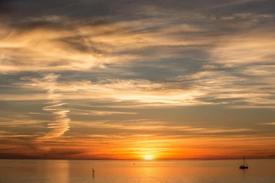 Adelaide: Highlights, Hahndorf & McLaren Vale Wine Tasting - Adelaide Hills drive: wildlife spotting and the photo pause you’ll remember