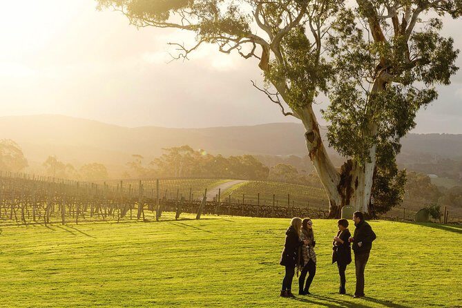 Adelaide Hills & Hahndorf Hop-On Hop-Off Wine Tour - Key points to know before you go