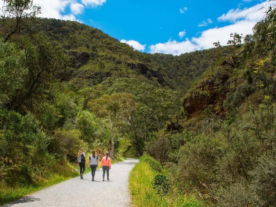 Adelaide: Morialta Wilderness and Wildlife Hike - Key reasons this hike works