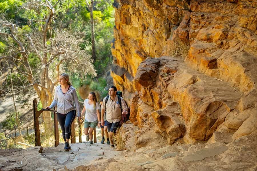 Adelaide: Morialta Wilderness and Wildlife Hike - Who should book this hike (and who should skip it)