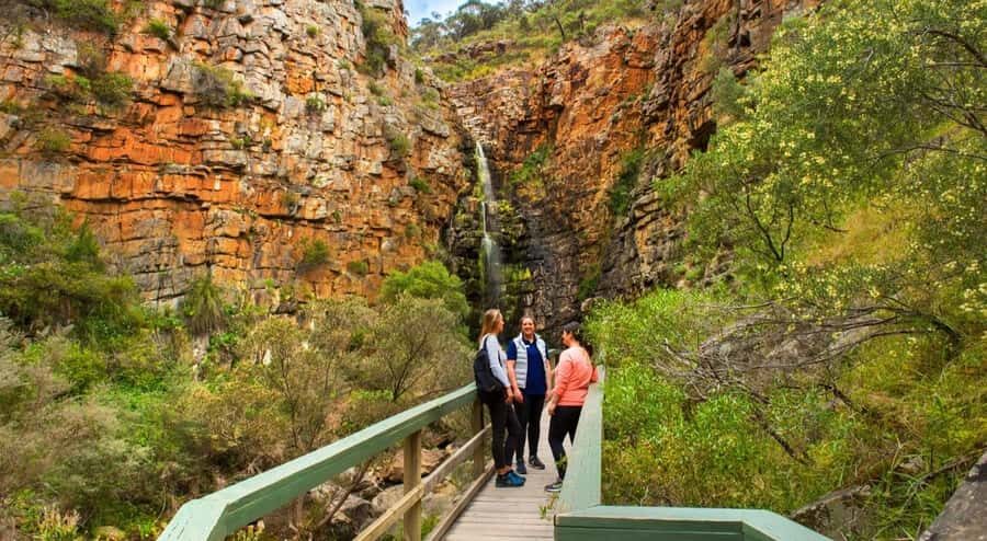 Adelaide: Morialta Wilderness and Wildlife Hike - Morning tea and the lunch gap: plan your stomach, not just your legs