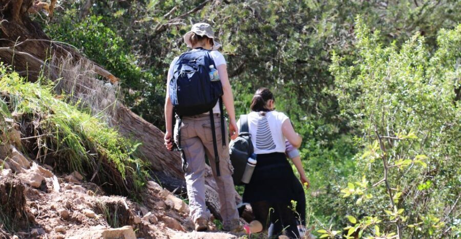 Adelaide: Morialta Wilderness and Wildlife Hike - Small-group feel: easier spotting, better attention