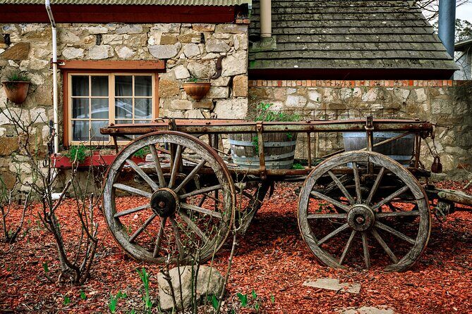 Barossa and Hahndorf Wine Tasting and Sightseeing Tour - Getting There Comfortably: Pickup, Small Group, and the Van Time