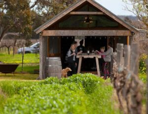 Barossa Wine Tour: Small Group 8 max, Rare, Unique, Premium - Door-to-door pickup keeps your day from turning into a schedule