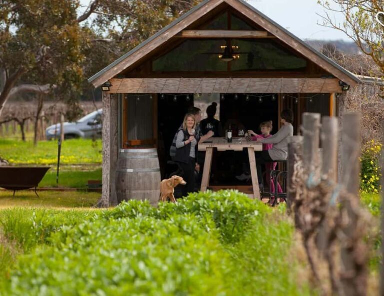 Barossa Wine Tour: Small Group 8 max, Rare, Unique, Premium - Door-to-door pickup keeps your day from turning into a schedule