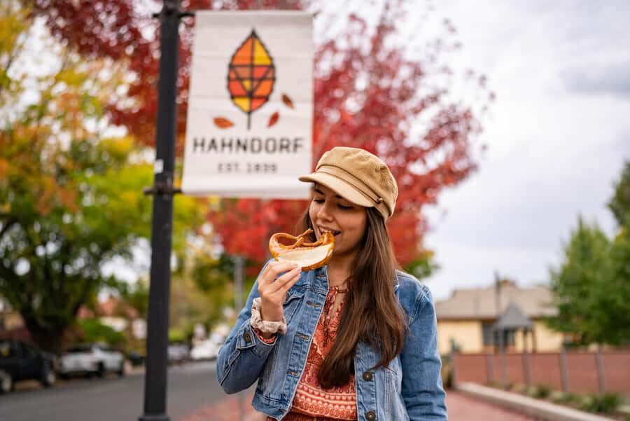 From Adelaide: Adelaide Hills, Hahndorf & Mount Lofty Tour - Coach comfort and pacing: what this 4-hour plan really feels like