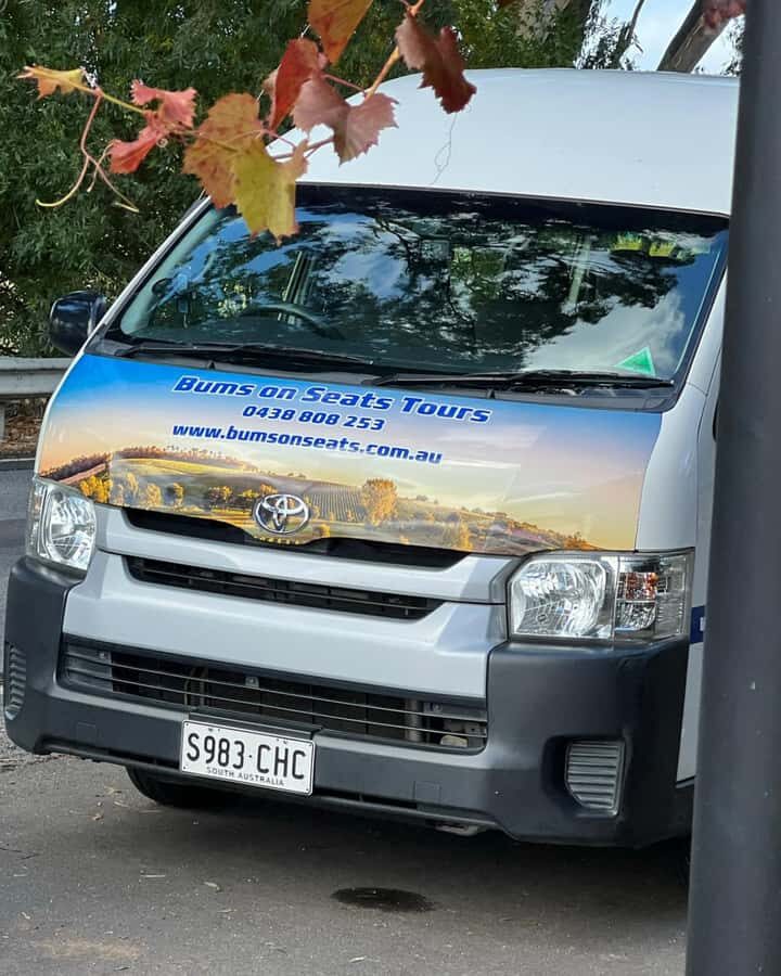 From Adelaide: Barossa Valley Food and Wine Tour - River Torrens and Torrens Gorge: the drive you actually look forward to