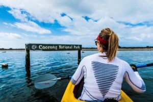 Full Day Kayaking Tour in Coorong National Park - Murray Mouth lookout: finishing with big water energy