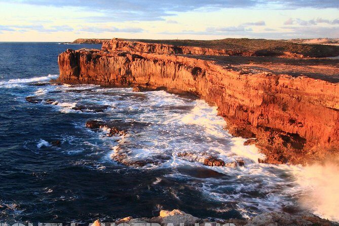 Jurlique Farm Private Immersion Tour - Price and logistics: $135.56 is for a private, guided farm experience