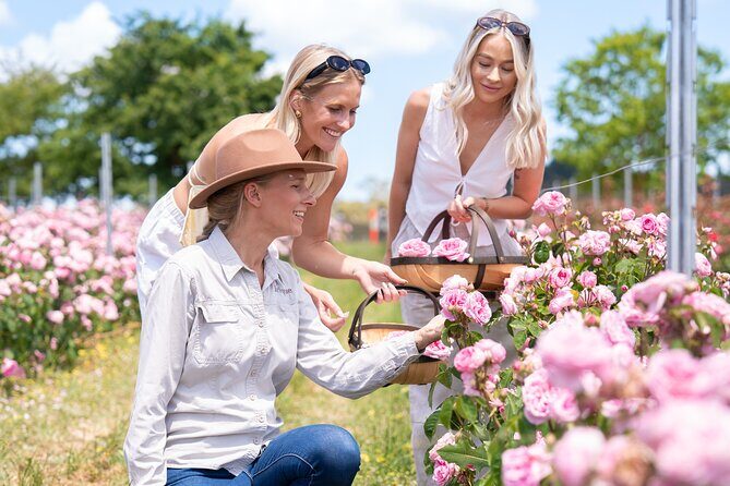 Jurlique Handpicked Masterclass - Key things to know before you go
