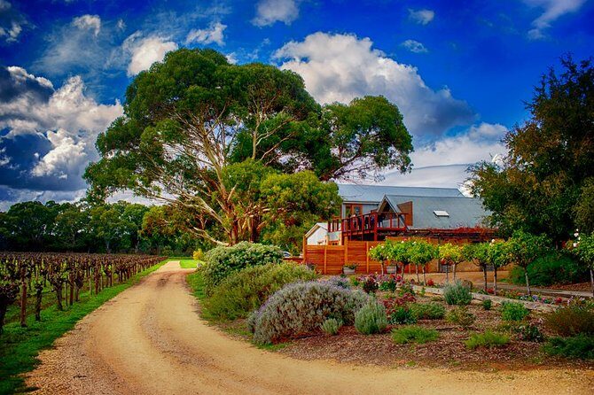Langhorne Creek Wine Region Daytrip with Lunch from Adelaide - Key Things I’d Plan Around