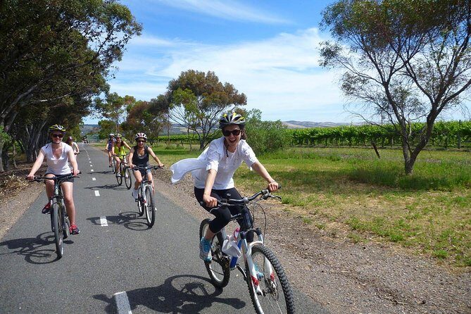 McLaren Vale Wine Tour by Bike - Key highlights at a glance