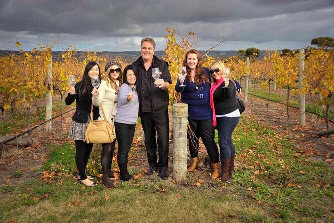 McLaren Vale Winery Small Group Tour with Wine Tasting and Lunch - Why McLaren Vale makes sense for a full-day trip