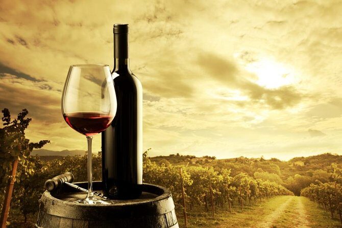 Micro-Group McLaren Vale Wine Tour from Adelaide - Shottesbrooke Vineyards: when a regular favorite earns its spot