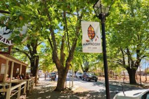 Premium Adelaide Hills Cleland Wildlife and Hahndorf Minibus Tour - Mount Lofty Summit: a quick viewpoint stop that sets the mood