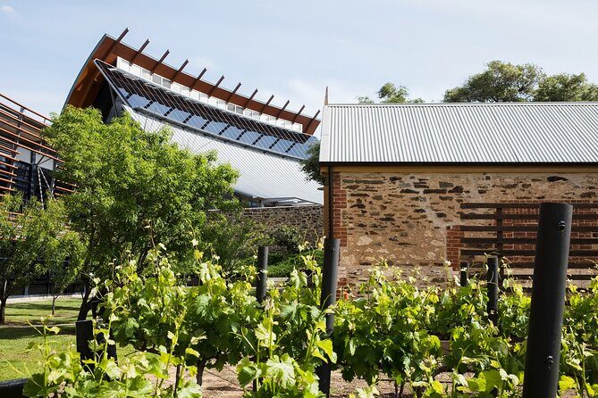 Ultimate Adelaide City and Hahndorf Tour - Beerenberg Farm Shop: taste-first, purchases optional
