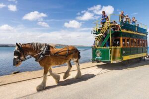 Victor Harbor and Southern Highlights from Adelaide - Adelaide Hills to Strathalbyn: a quick hit of Scottish town vibes